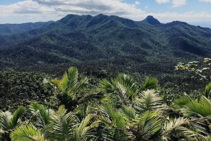 El Yunque from above