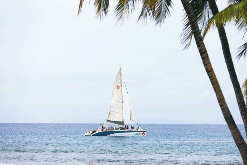 West Maui Snorkel & Sail aboard Alihilani, includes Buffet Bunch & Open Bar