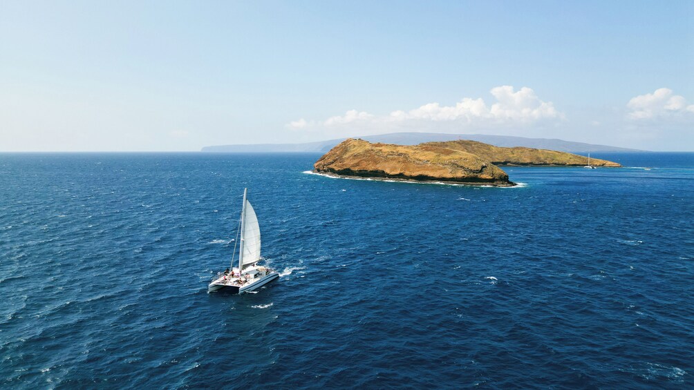 West Maui Snorkel & Sail aboard Alihilani, includes Buffet Bunch & Open Bar