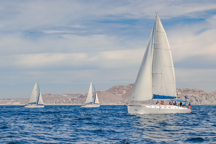 Private Sail boat rental with lunch, open bar & snorkeling