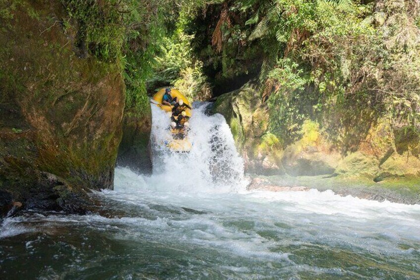 Rotorua Rafting: Kaituna River White Water Rafting