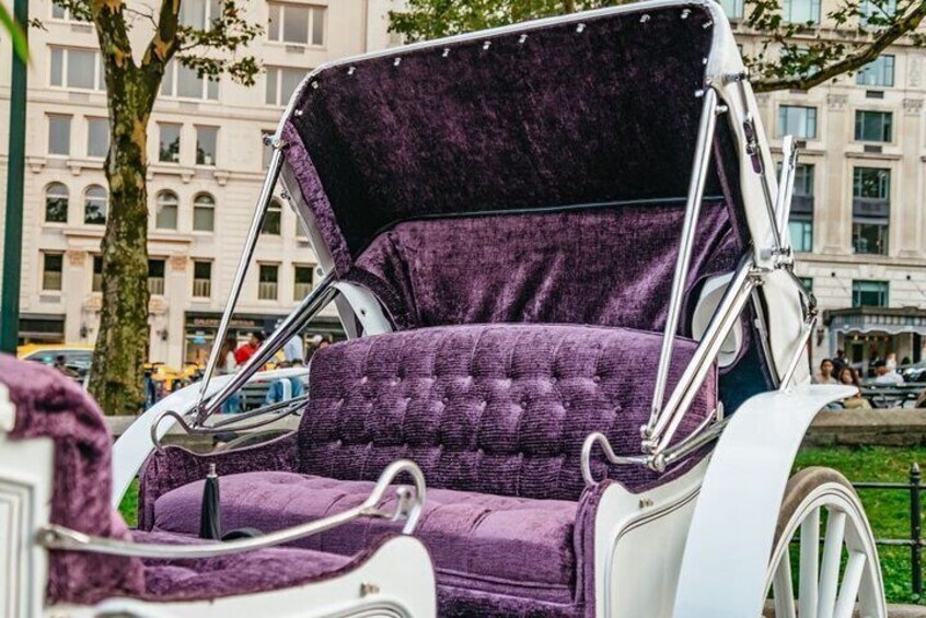 Official Private New York City Central Park Horse Carriage Ride Since 1965™