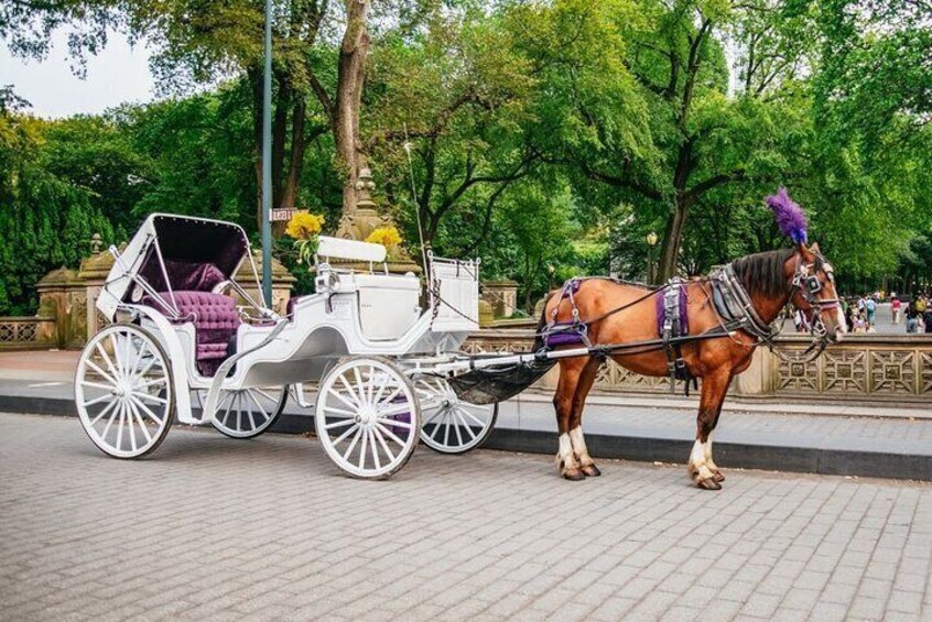 Official Private New York City Central Park Horse Carriage Ride Since 1965™
