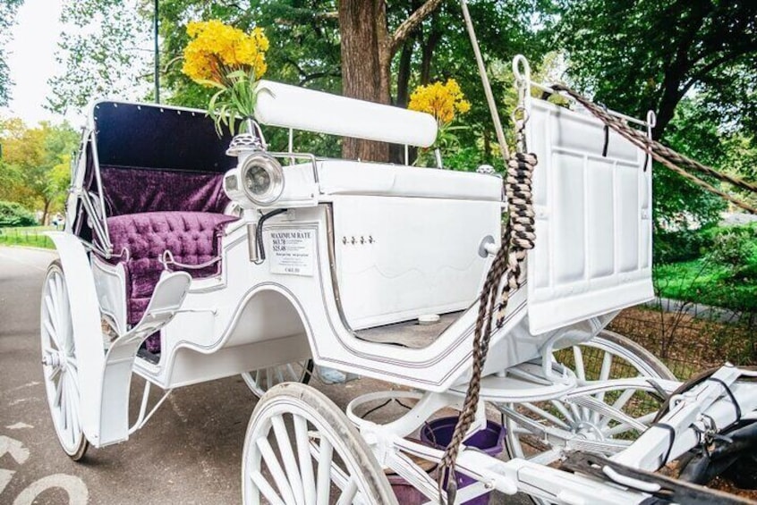 Official Private New York City Central Park Horse Carriage Ride Since 1965™
