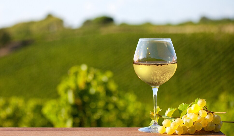 Alsace Full-Day Wine Tour From Strasbourg