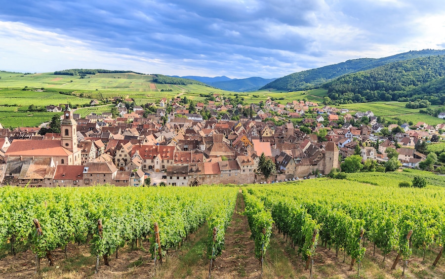 Pearls of Alsace Sightseeing Full-Day Tour From Strasbourg