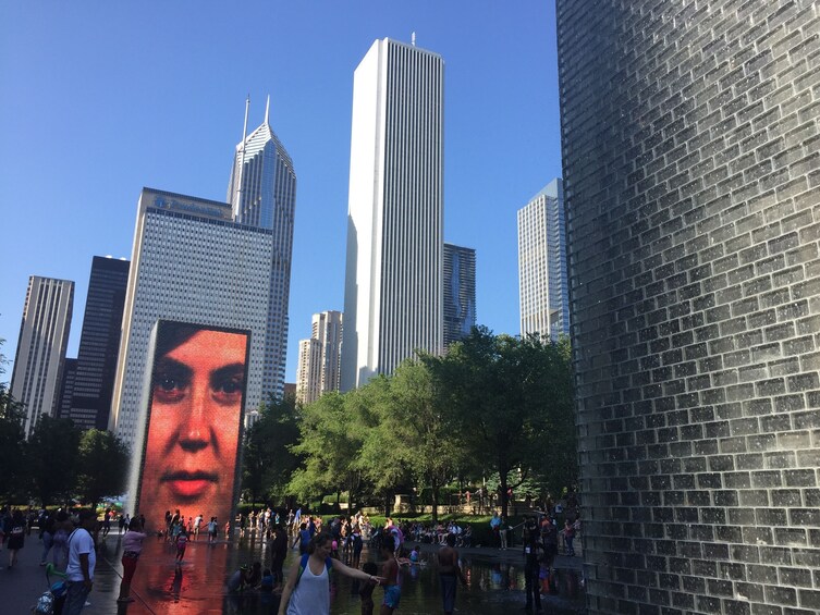 Chicago Hop-On Hop-Off Big Bus Tour
