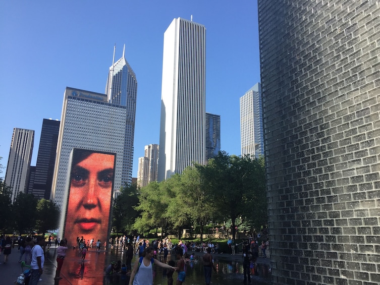 Chicago Hop-On Hop-Off Big Bus Tour