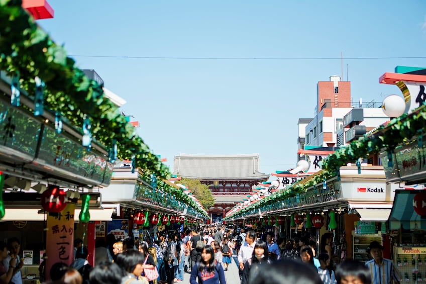 Full-Day Sightseeing Bus Tour in Tokyo with Cruise