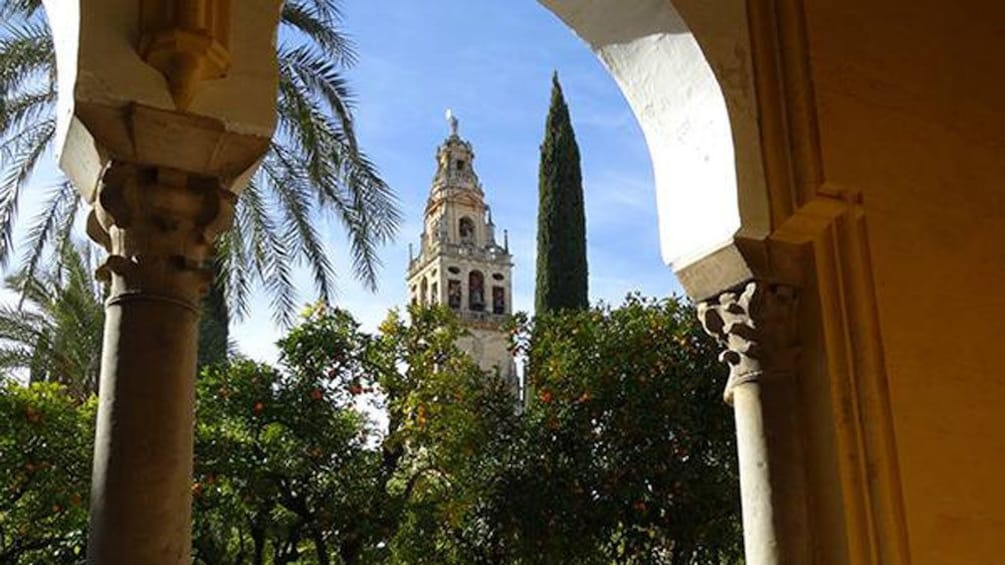 view of palm trees and bushes