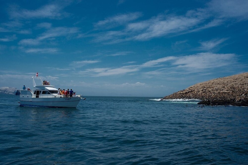 Palomino Islands, Swim With Sea Lions In The Pacific Ocean
