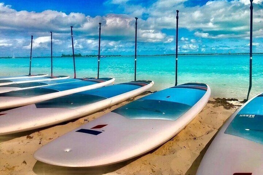 Turtle Eco Tour on Stand-Up Paddleboards or Kayaks into the National Marine Park