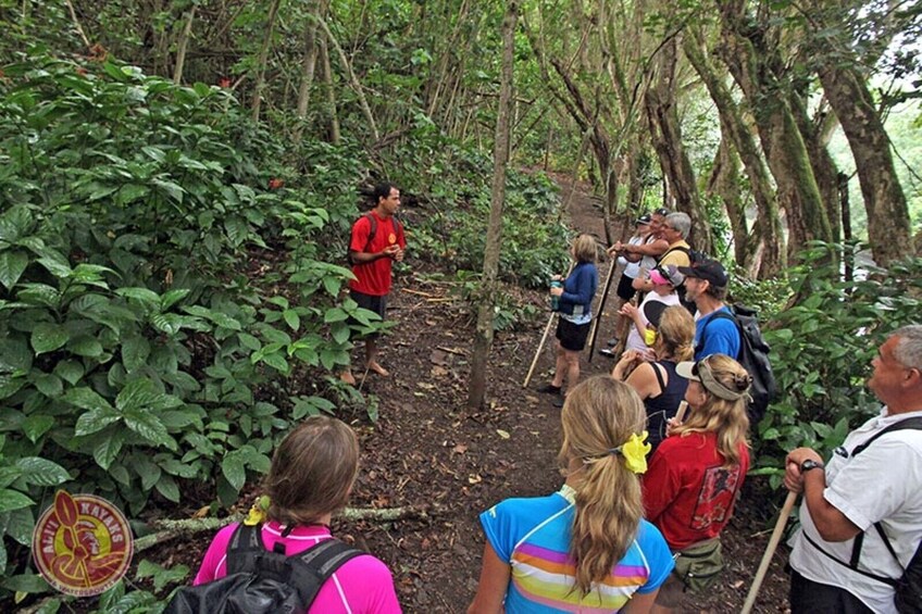 5-Hour Secret Falls Kayak/Hike 