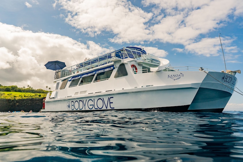 Deluxe Snorkel & Dolphin Watch