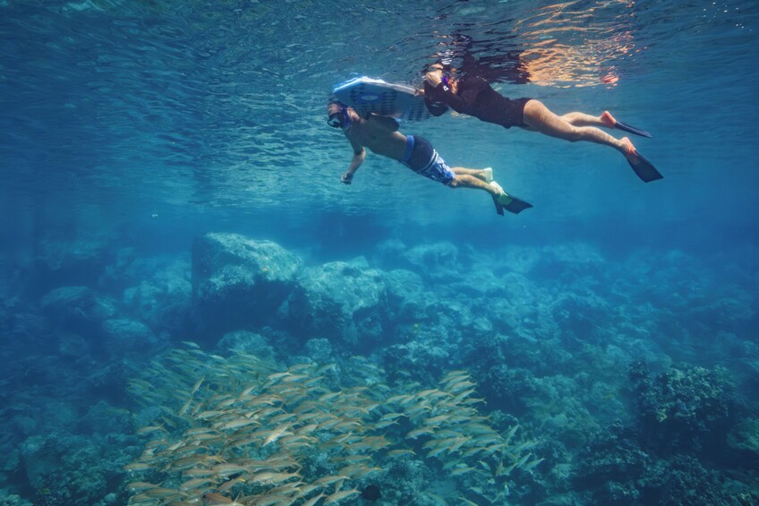 Morning Kealakekua Snorkel Tour