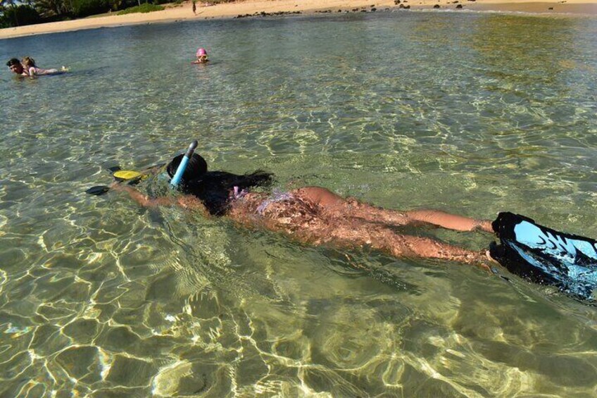 Kauai Snorkeling Adventure