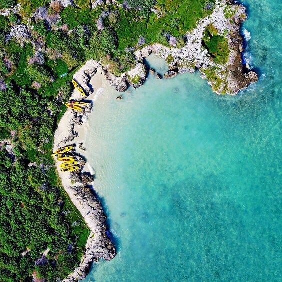 2-Hour Guided Kayak Tour