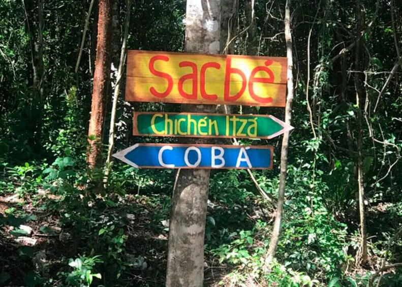 Chocolate and Honey Sanctuary Experience + Cenote (transfer optional)