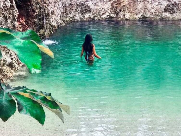 Chocolate and Honey Sanctuary Experience + Cenote (transfer optional)