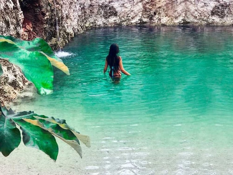 Chocolate and Honey Sanctuary Experience + Cenote (transfer optional)