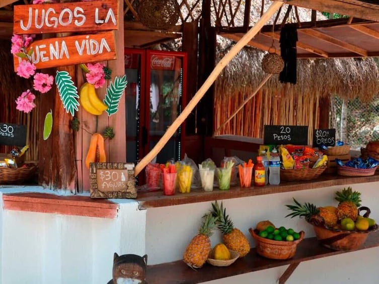 Chocolate and Honey Experience Sanctuary + Cenote (transfer optional)