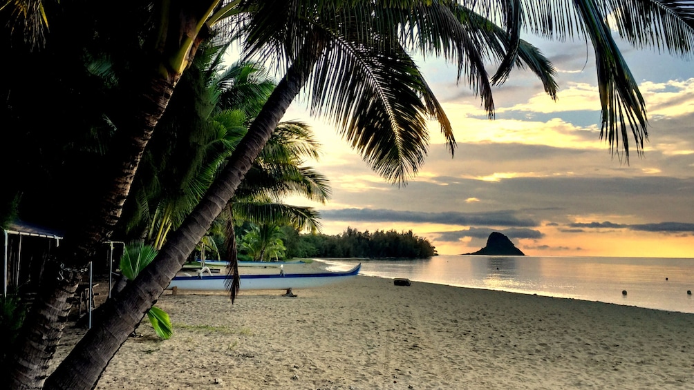 Half or Full Day Secret Island Beach Excursion