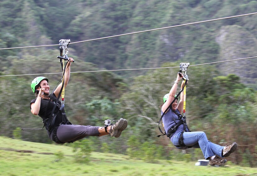 Jurassic Valley Zipline 