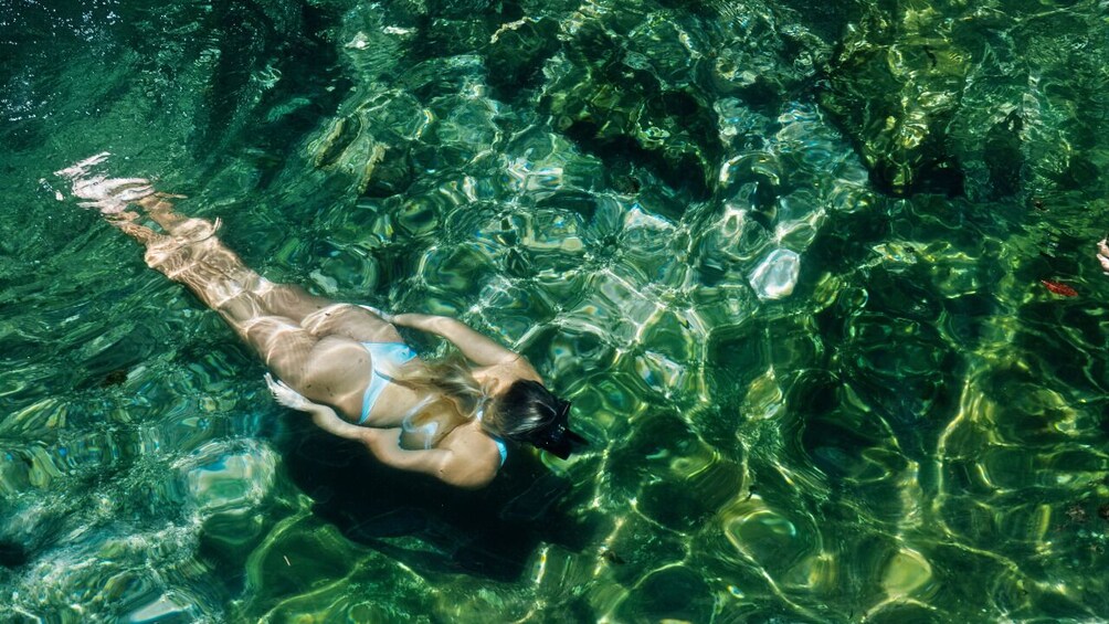 Tulum Day-Trip Mayan Ruins with Cenote Swim