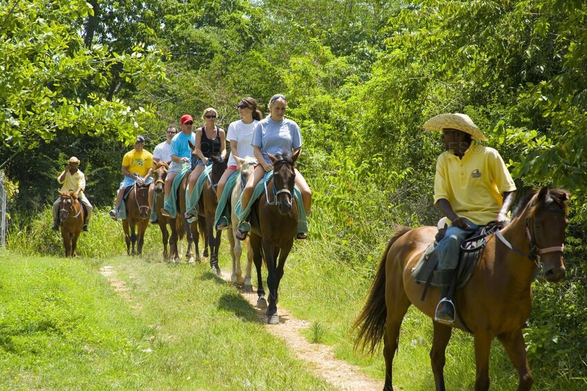 Private Horseback Riding with Swim Experience Customized