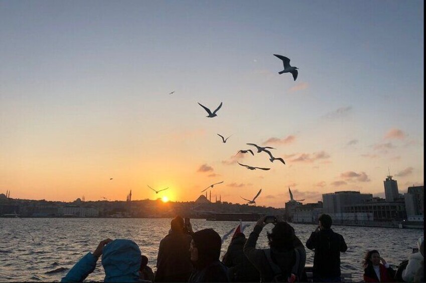 a lot birds and their lovers.