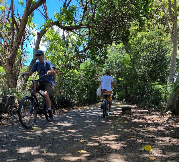 Circle Island North Shore Adventure Tour + Snorkeling