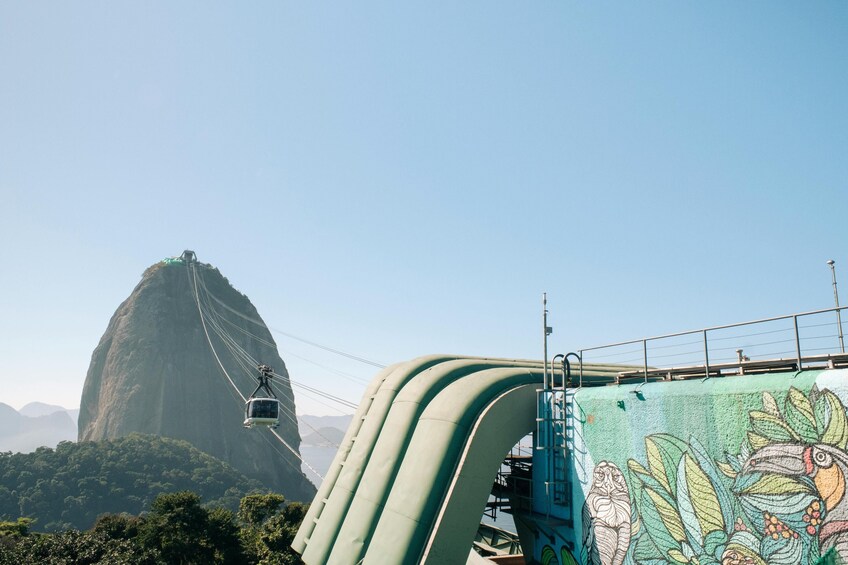 Private Rio de Janeiro Layover Transfer & Tour from Airport