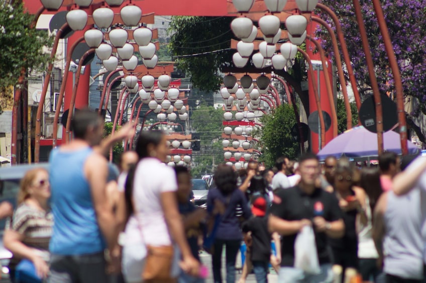 Sao Paulo City Tour