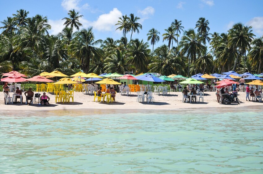 Beach Day In Maragogi From Recife