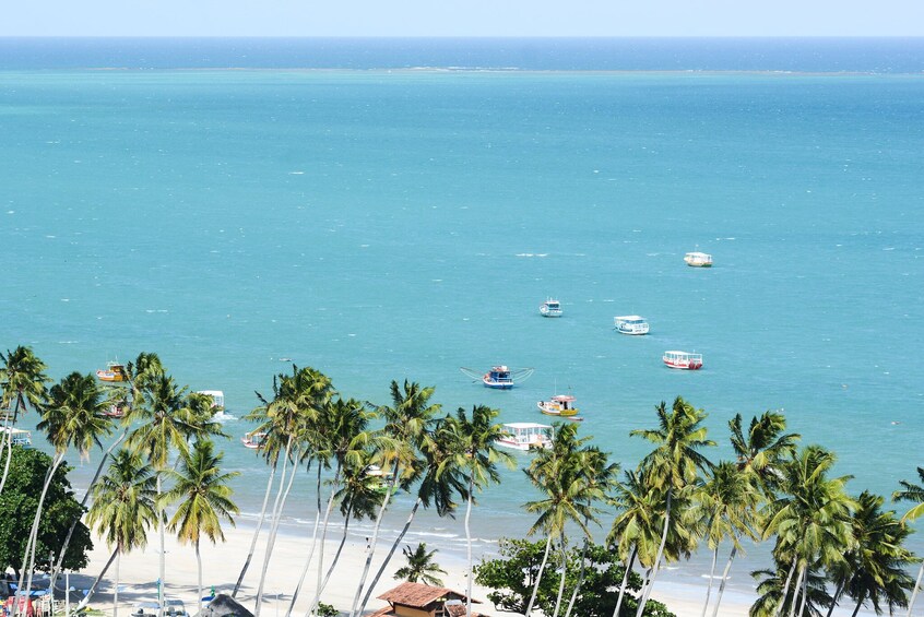 Beach Day In Maragogi From Recife