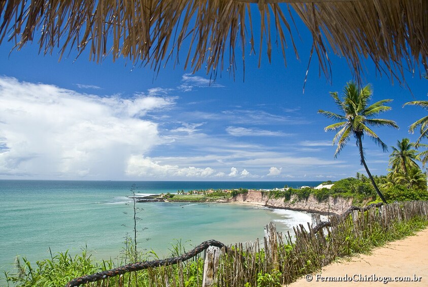 Litoral Sul And Pipa Beaches Tour In A 4X4