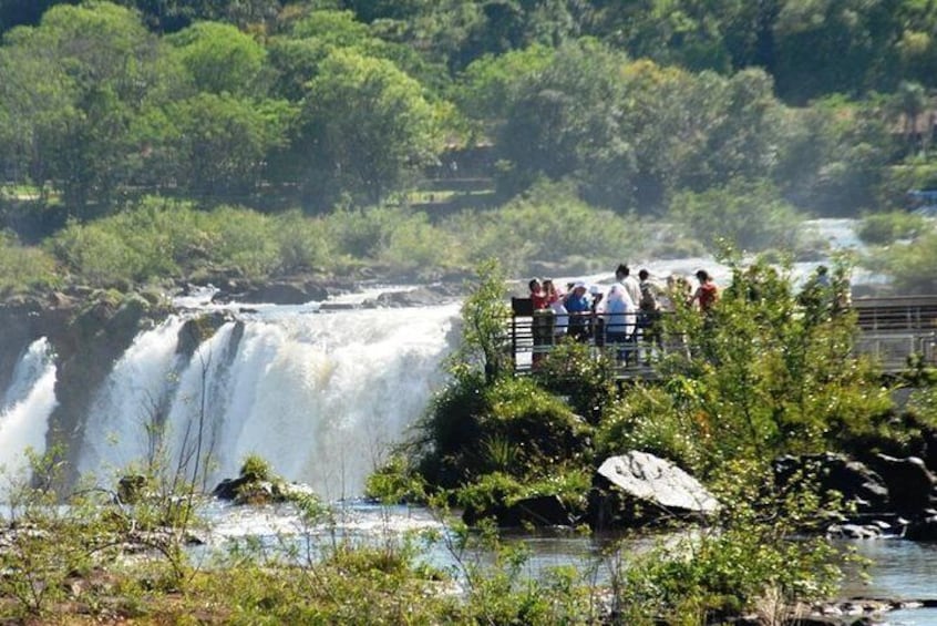 Iguazu Falls from Buenos Aires Cruise Terminal or Downtown Hotel - no flights