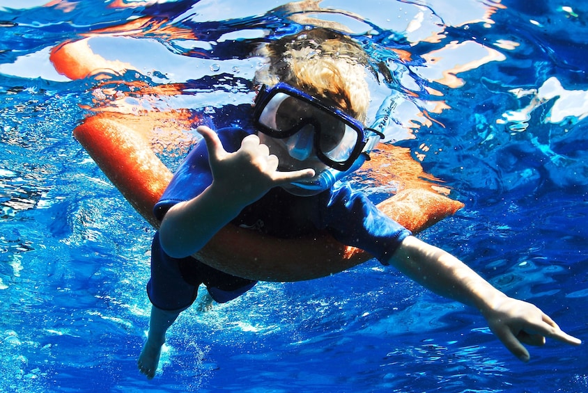 Snorkeling Cruise to Molokini Crater & Turtle Town