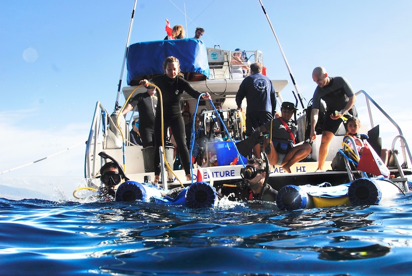 Snorkeling Cruise to Molokini Crater & Turtle Town
