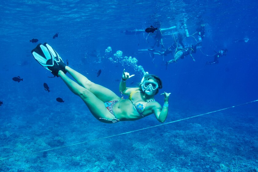 Snorkeling Cruise to Molokini Crater & Turtle Town