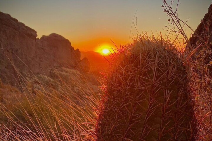 Stunning Sunset or Sunrise Guided Hiking Adventure in Phoenix