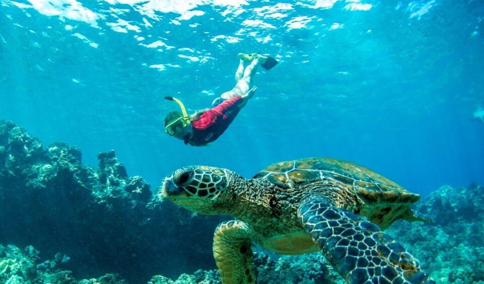 Half Day West Maui Snorkel Adventure from Ka'anapali 