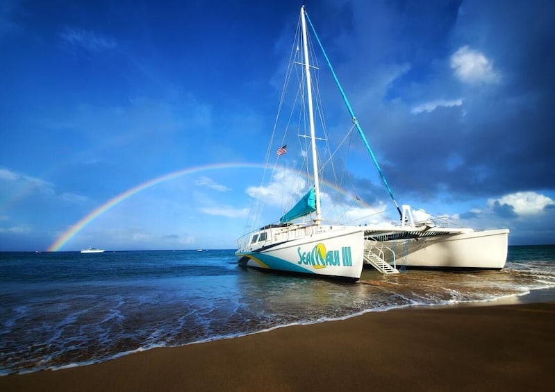 Half Day West Maui Snorkel & Whale Watch from Ka'anapali