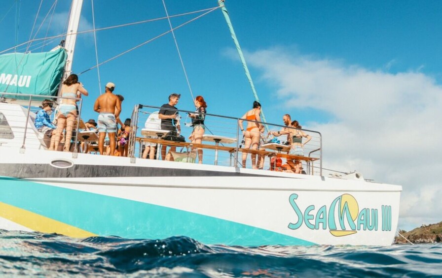 Half Day West Maui Snorkel Adventure from Ka'anapali 