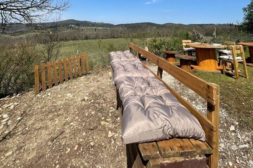 Cooking Class on a Family Farm in Chianti with Lunch