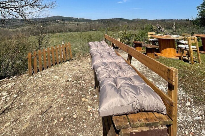 Cooking Class on a Family Farm in Chianti with Lunch