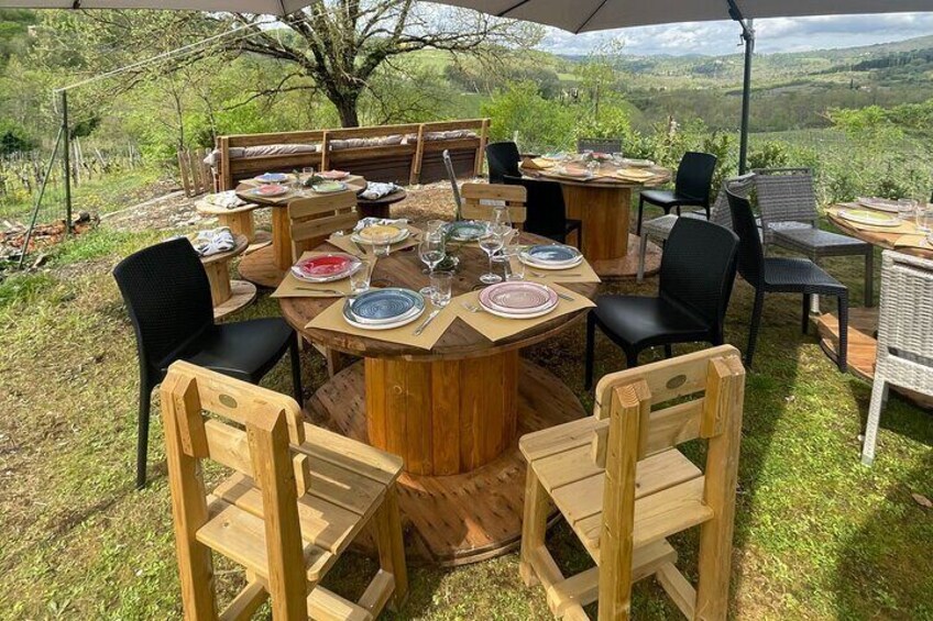 Cooking Class on a Family Farm in Chianti with Lunch