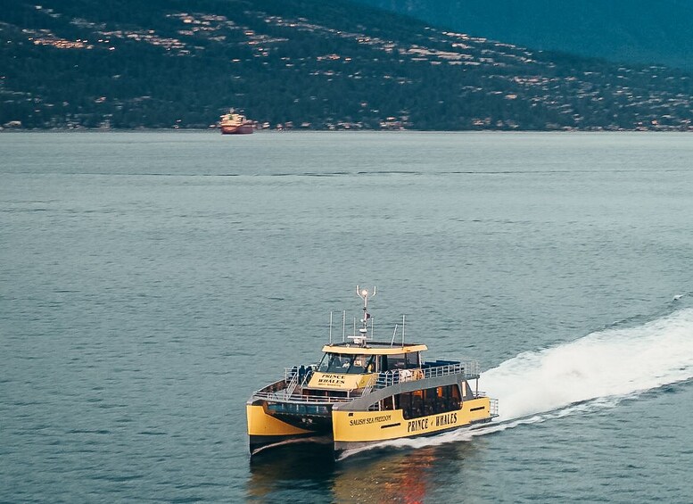 Half-Day Whale Watching From Vancouver