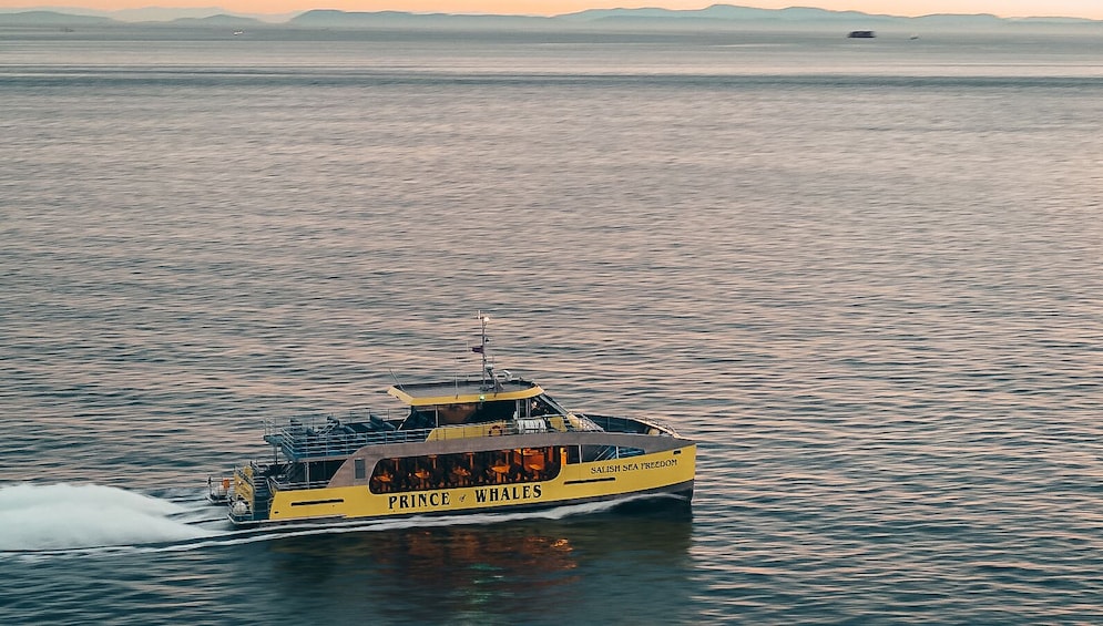 Half-Day Whale Watching From Vancouver