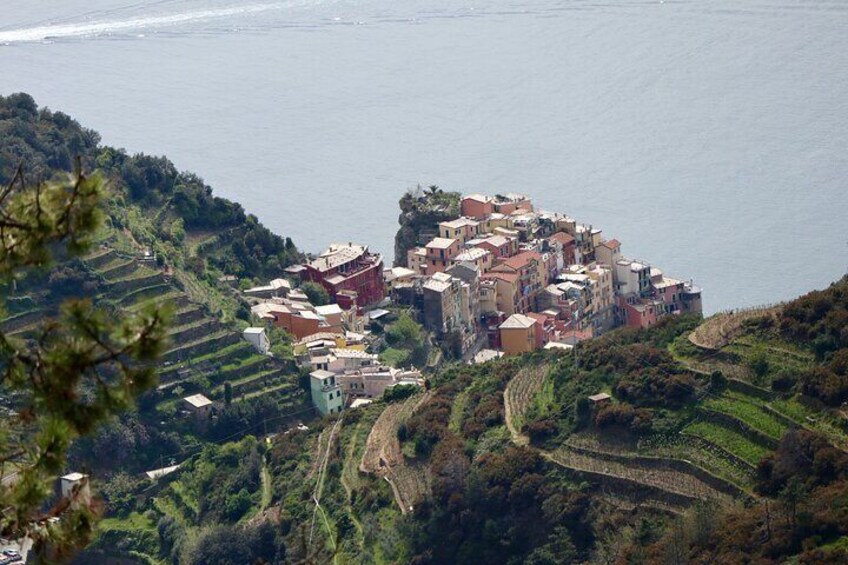 Above Manarola, coming down